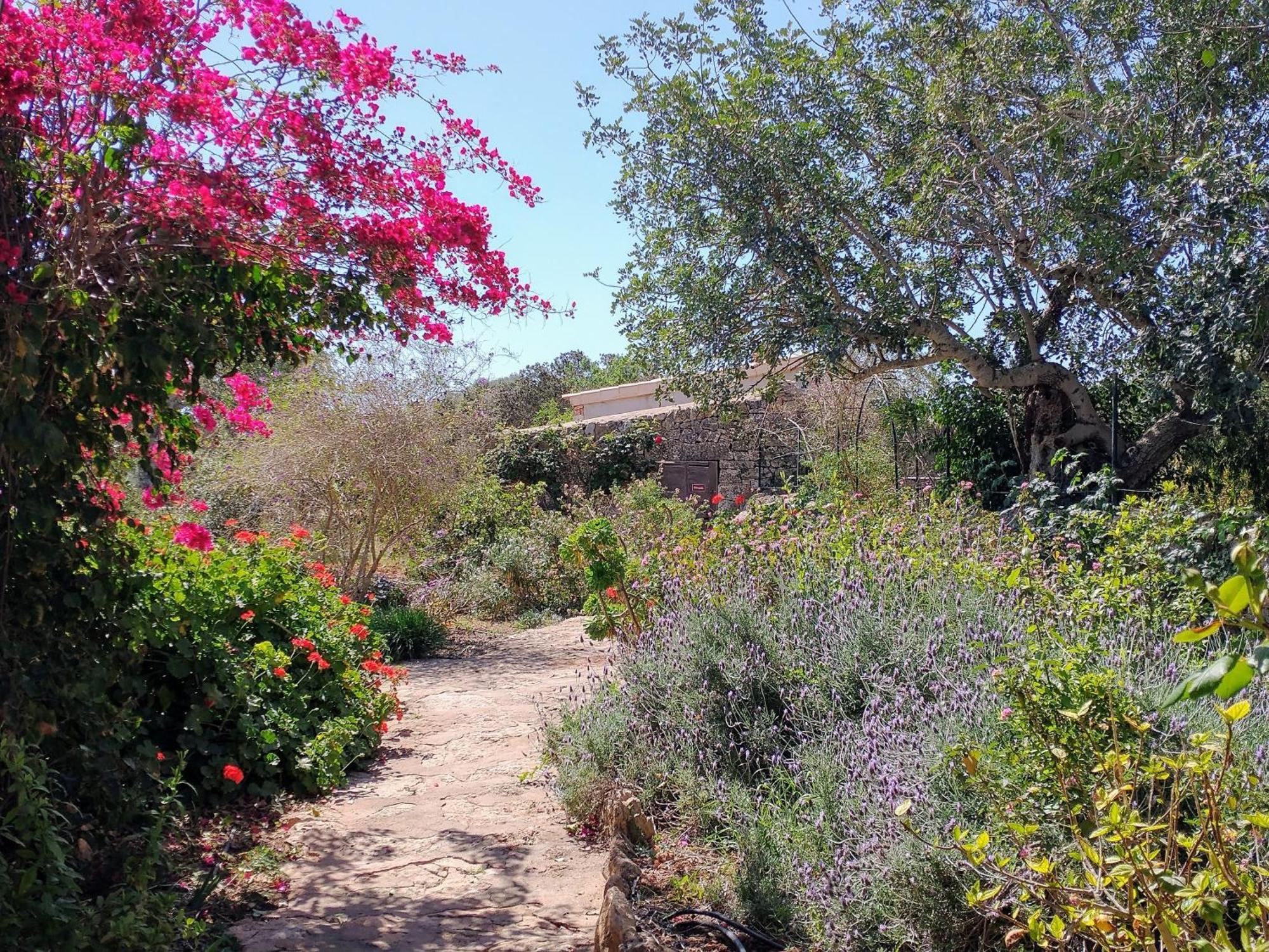 Finca Son Marimon (Adults Only) Santanyí Exteriör bild