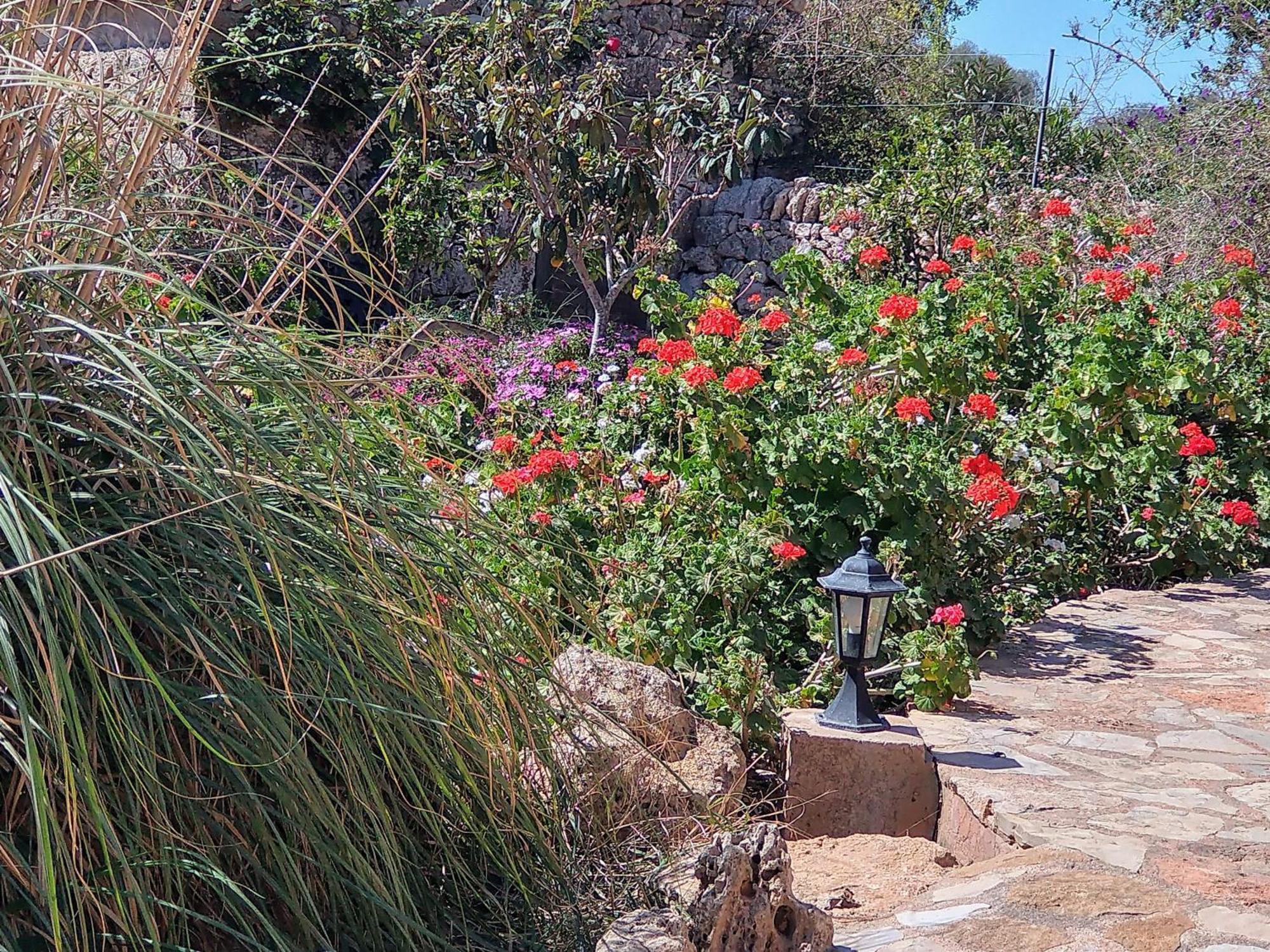 Finca Son Marimon (Adults Only) Santanyí Exteriör bild