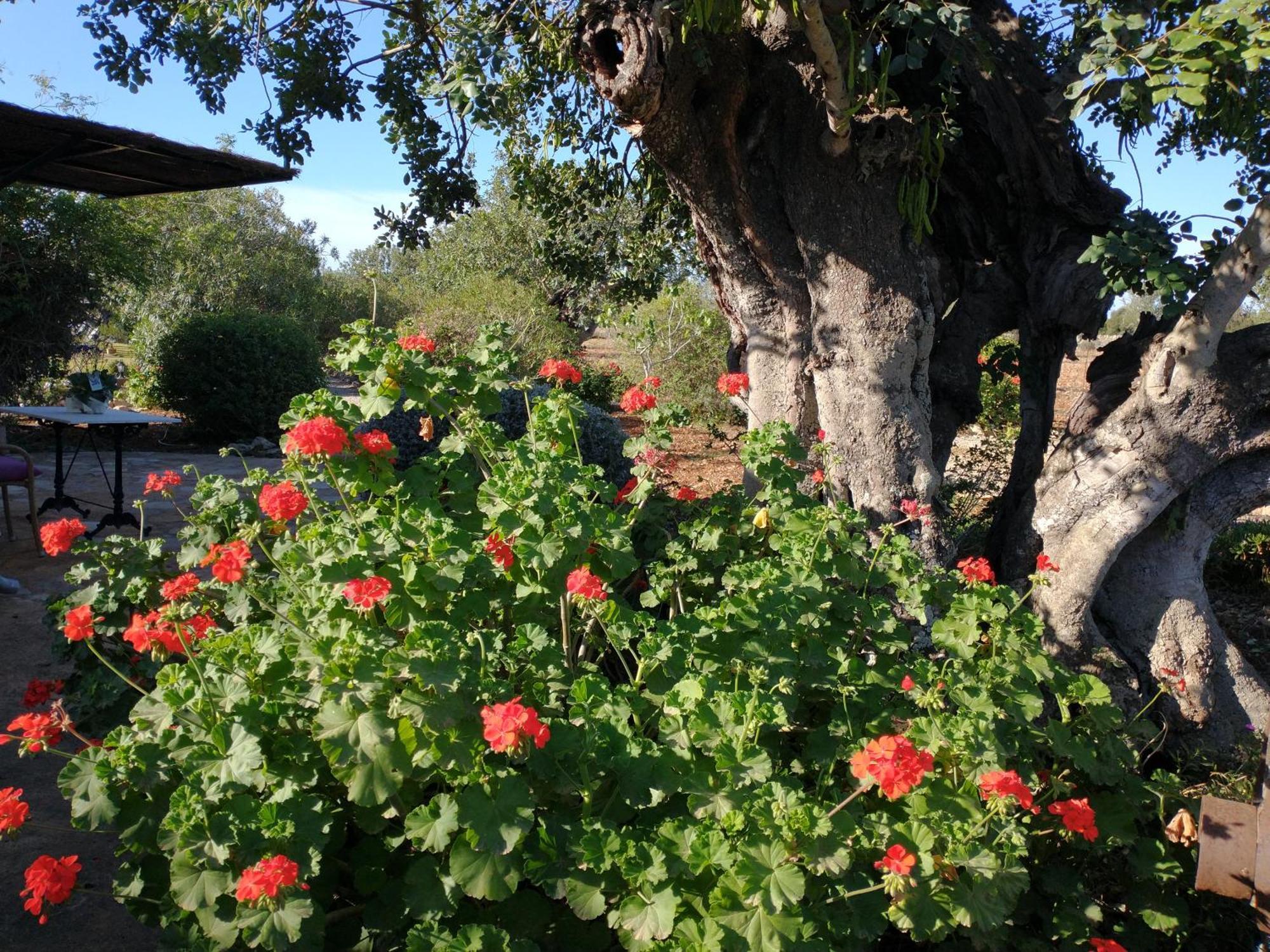 Finca Son Marimon (Adults Only) Santanyí Exteriör bild