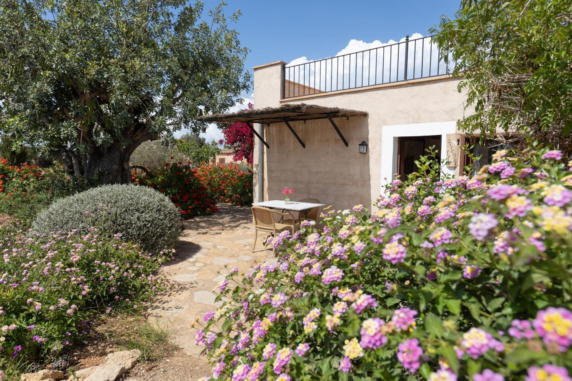 Finca Son Marimon (Adults Only) Santanyí Exteriör bild